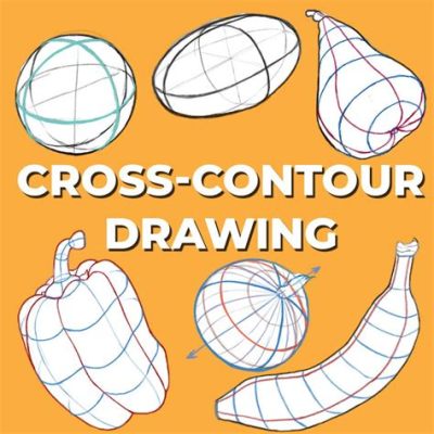 what are contour lines in art? exploring the nuances of line drawing techniques