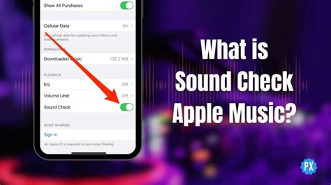 what is sound check apple music? exploring the hidden artistry behind the sound of a live performance